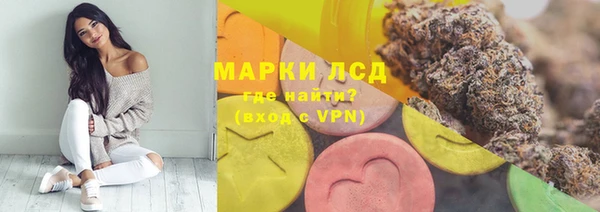 PSILOCYBIN Абаза