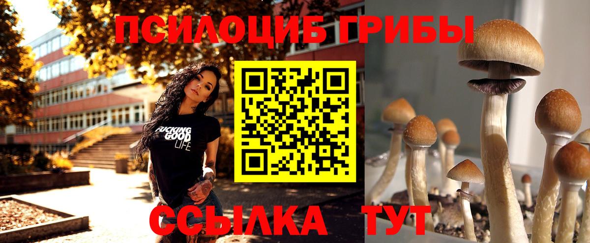 Псилоцибиновые грибы прущие грибы Кисловодск