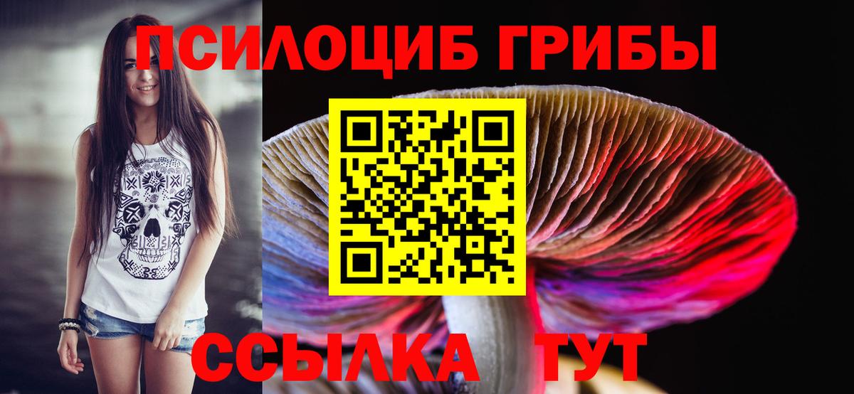 Псилоцибиновые грибы мицелий  Вход с VPN  Кисловодск 